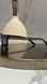 Сонцезахисні окуляри Gucci GG0381S 001 Black/Grey Force119 фото 9