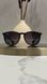 Сонцезахисні окуляри Ray-Ban Erika RB4171 чорні сіра лінза поляризовані жіночі &mdash; фото 2